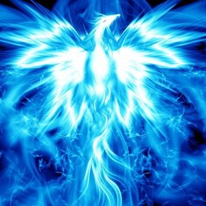 Meet your Posher, Bridgette